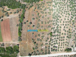 Αγροτεμάχια 6.719,28 τ.μ. για πώληση, Αργολίδα, Ασίνη-thumb-12