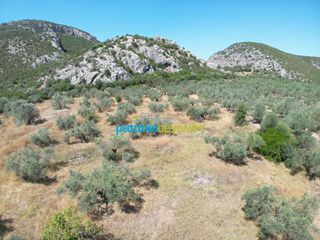 Αγροτεμάχια 6.719,28 τ.μ. για πώληση, Αργολίδα, Ασίνη-thumb-5