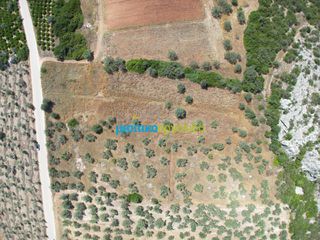 Αγροτεμάχια 6.719,28 τ.μ. για πώληση, Αργολίδα, Ασίνη-thumb-13