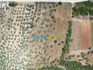 Αγροτεμάχια 6.719,28 τ.μ. για πώληση, Αργολίδα, Ασίνη-thumb-14