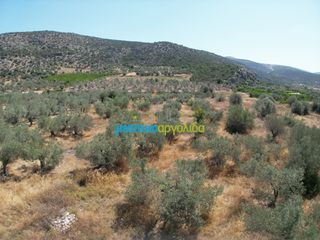 Αγροτεμάχια 6.719,28 τ.μ. για πώληση, Αργολίδα, Ασίνη-thumb-9