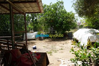 Μονοκατοικία 39,72 τ.μ. για πώληση, Αργολίδα, Άργος-thumb-16