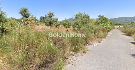 Οικόπεδο 15.589 τ.μ. για πώληση