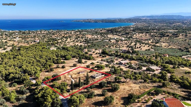 Αγροτεμάχια 4.004 τ.μ. για πώληση, Αργολίδα, Ερμιόνη
