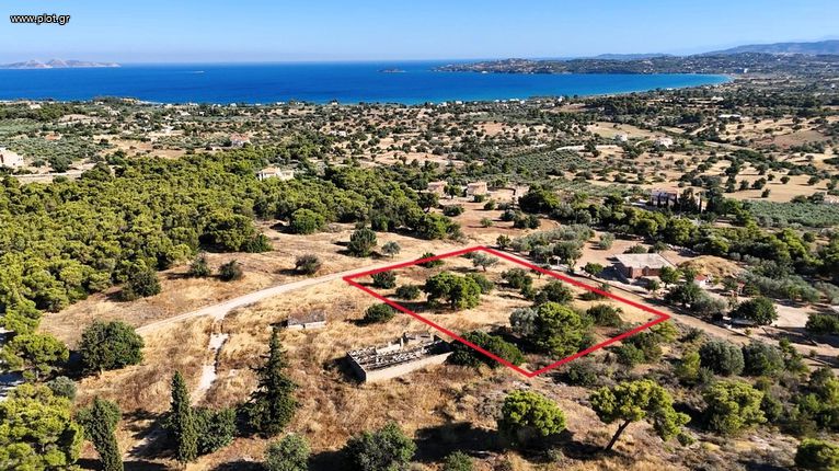 Αγροτεμάχια 4.038 τ.μ. για πώληση, Αργολίδα, Ερμιόνη