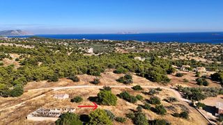 Αγροτεμάχια 4.038 τ.μ. για πώληση, Αργολίδα, Ερμιόνη-thumb-2
