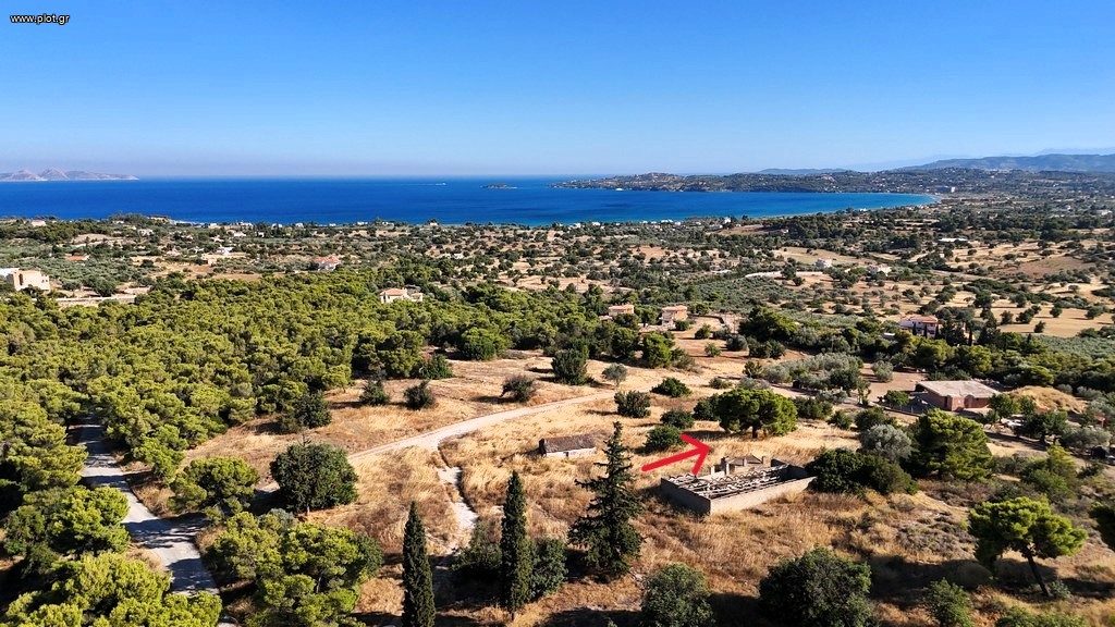 Αγροτεμάχια 4.038 τ.μ. πρός πώληση, Αργολίδα, Ερμιόνη