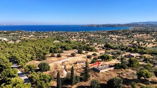 Αγροτεμάχια 4.038 τ.μ. για πώληση, Αργολίδα, Ερμιόνη-thumb-3