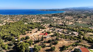 Αγροτεμάχια 4.038 τ.μ. για πώληση, Αργολίδα, Ερμιόνη-thumb-8