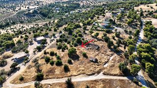 Αγροτεμάχια 4.038 τ.μ. για πώληση, Αργολίδα, Ερμιόνη-thumb-12
