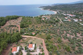 Αγροτεμάχια 4.000 τ.μ. για πώληση