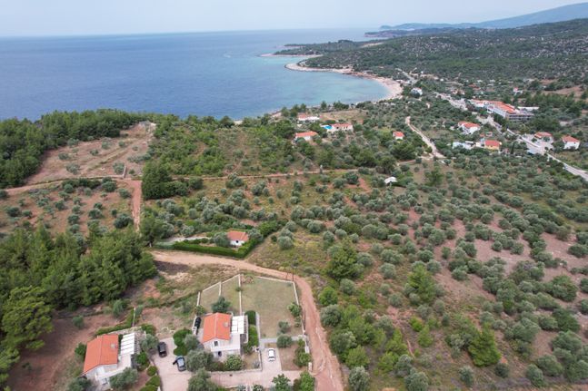 Αγροτεμάχια 4.000 τ.μ. για πώληση, Ν. Καβάλας, Θάσος