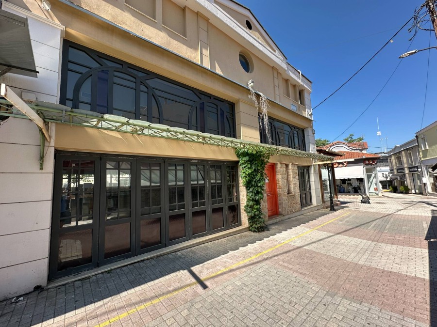 Κατάστημα 230 τ.μ. πρός ενοικίαση, Ημαθία, Βέροια