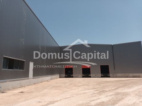 Warehouse 4.045sqm for rent-Magoula