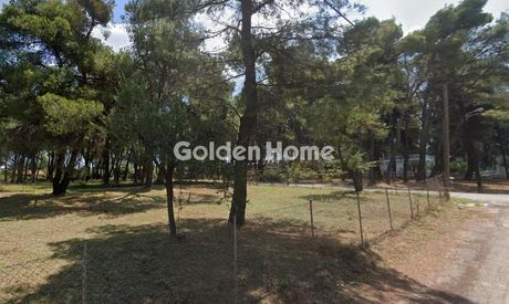 Αγροτεμάχια 669 τ.μ. για πώληση