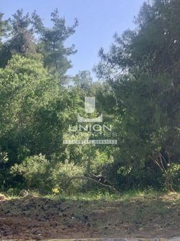 Land plot 1.000 sqm for sale