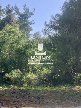 Land plot 2.200 sqm for sale