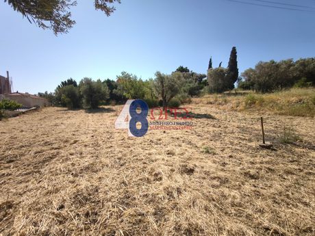 Αγροτεμάχια 1.440τ.μ. για πώληση-Χίος » Ομηρούπολη