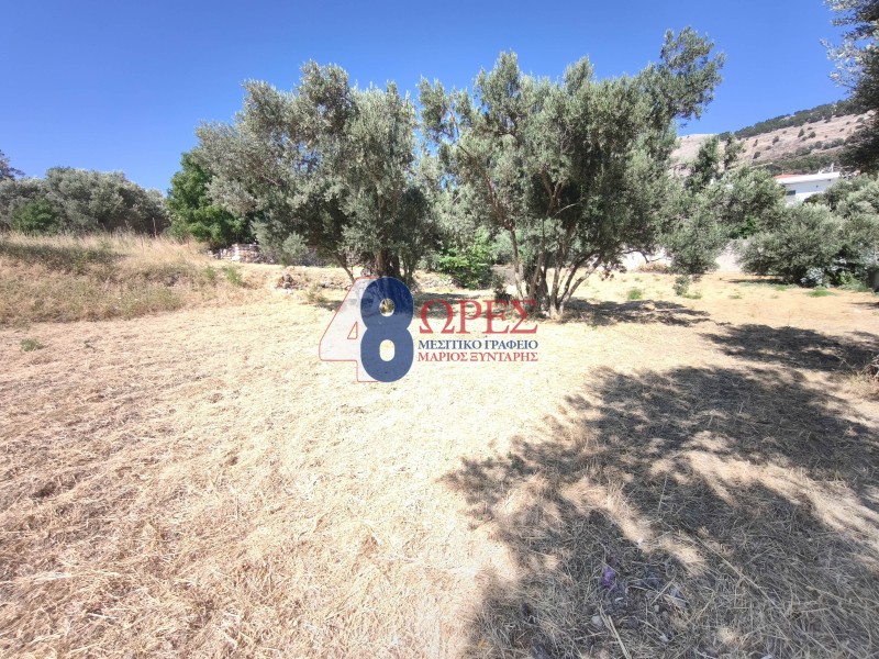 Οικόπεδο 1.440 τ.μ. προς πώληση, Ομηρούπολη