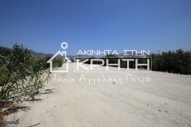 Οικόπεδο 1.850 τ.μ. προς πώληση, Γρα Λυγιά