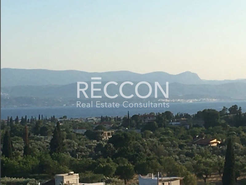 Οικόπεδο 12.392 τ.μ. προς πώληση, Κουκάκι Αμαρύνθου