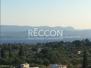 Οικόπεδο 12.392 τ.μ. για πώληση