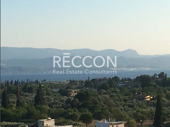 Land plot 12.392 sqm for sale, Evia, Amarinthos