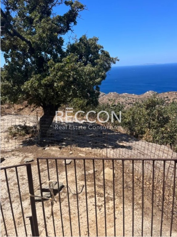 Αγροτεμάχια 9.700 τ.μ. προς πώληση, Χαβουνά