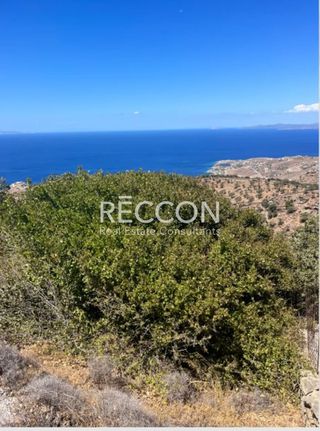 Αγροτεμάχια 9.700 τ.μ. για πώληση, Κυκλάδες, Κέα