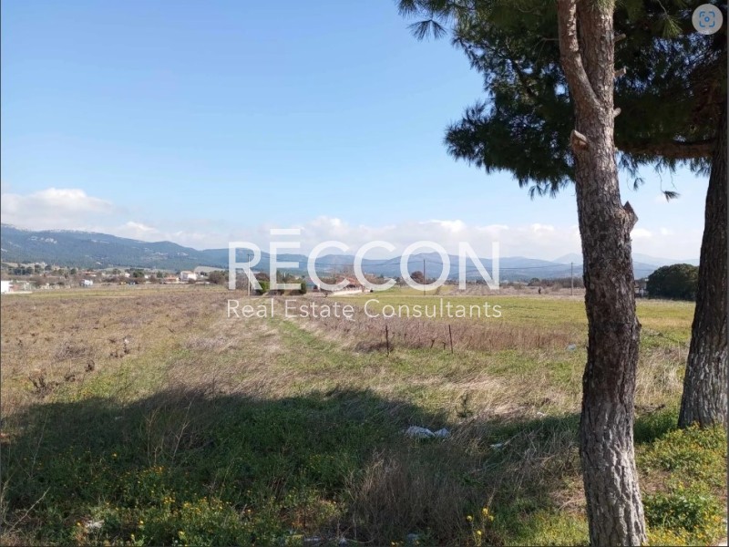 Αγροτεμάχια 4.800 τ.μ. προς πώληση, Κέντρο Οινόης