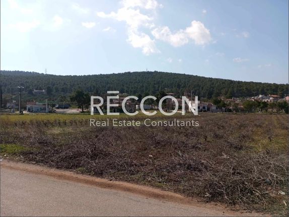 Αγροτεμάχια 4.800 τ.μ. για πώληση, Αττική - Υπόλοιπο, Οινόη