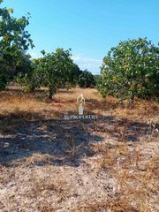 Οικόπεδο 805 τ.μ. για πώληση