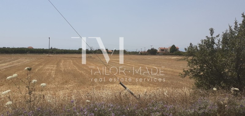 Αγροτεμάχια 4.865,42 τ.μ. προς πώληση, Νέα Πλάγια