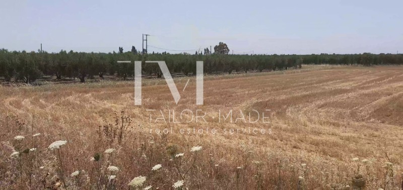 Αγροτεμάχια 4.865,42 τ.μ. προς πώληση, Νέα Πλάγια