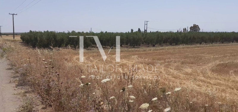Αγροτεμάχια 4.865,42 τ.μ. προς πώληση, Νέα Πλάγια