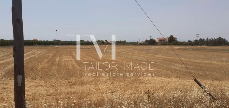 Αγροτεμάχια 4.865,42 τ.μ. προς πώληση, Νέα Πλάγια