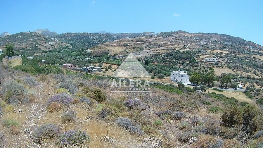 Οικόπεδο 24,12 τ.μ. προς πώληση, Μέλανες