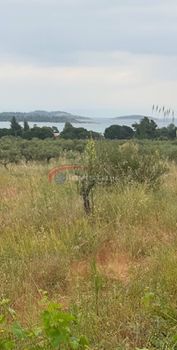 Parcel 4.000sqm for sale-Sithonia » Vourvourou
