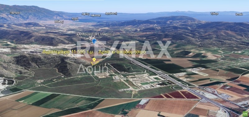 Αγροτεμάχια 11.595 τ.μ. πρός πώληση, Μαγνησία, Φερών