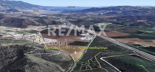 Αγροτεμάχια 11.595 τ.μ. για πώληση