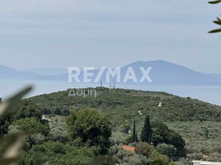 Οικόπεδο 1.700 τ.μ. πρός πώληση