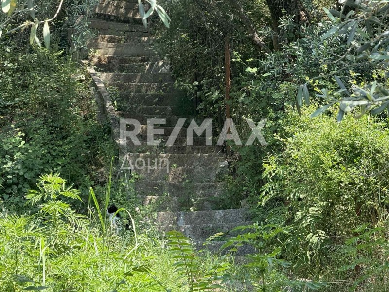 Οικόπεδο 1.700 τ.μ. πρός πώληση, Μαγνησία, Αρτέμιδα