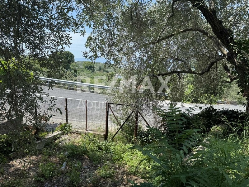 Οικόπεδο 1.700 τ.μ. πρός πώληση, Μαγνησία, Αρτέμιδα