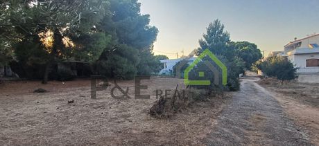 Land plot 282sqm for sale-Artemida (Loutsa) » Vravrona