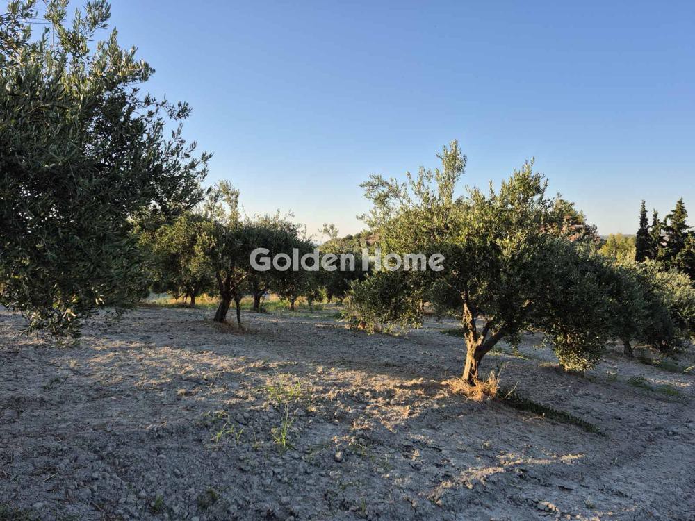 Οικόπεδο 3.850 τ.μ. προς πώληση, Δαφνές Ηρακλείου