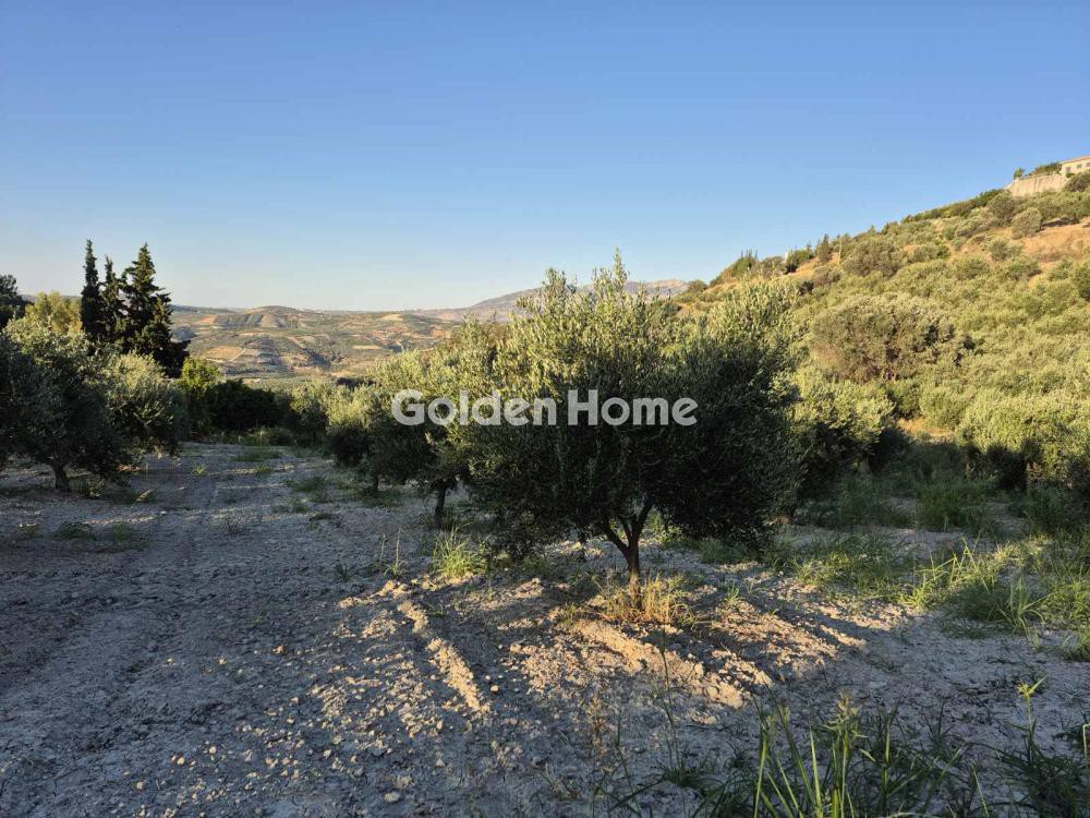 Οικόπεδο 3.850 τ.μ. προς πώληση, Δαφνές Ηρακλείου
