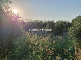 Οικόπεδο 3.850 τ.μ. για πώληση