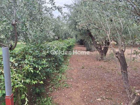 Land plot 2.647sqm for sale-Marousi » Kokkinia