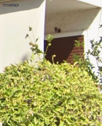 Μονοκατοικία 100 τ.μ. για πώληση, Αθήνα - Νότια Προάστια, Καλλιθέα