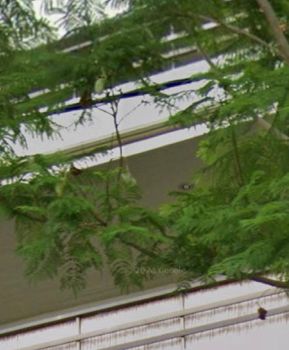 Μονοκατοικία 160τ.μ. για πώληση-Βάρη- βάρκιζα » Βάρκιζα